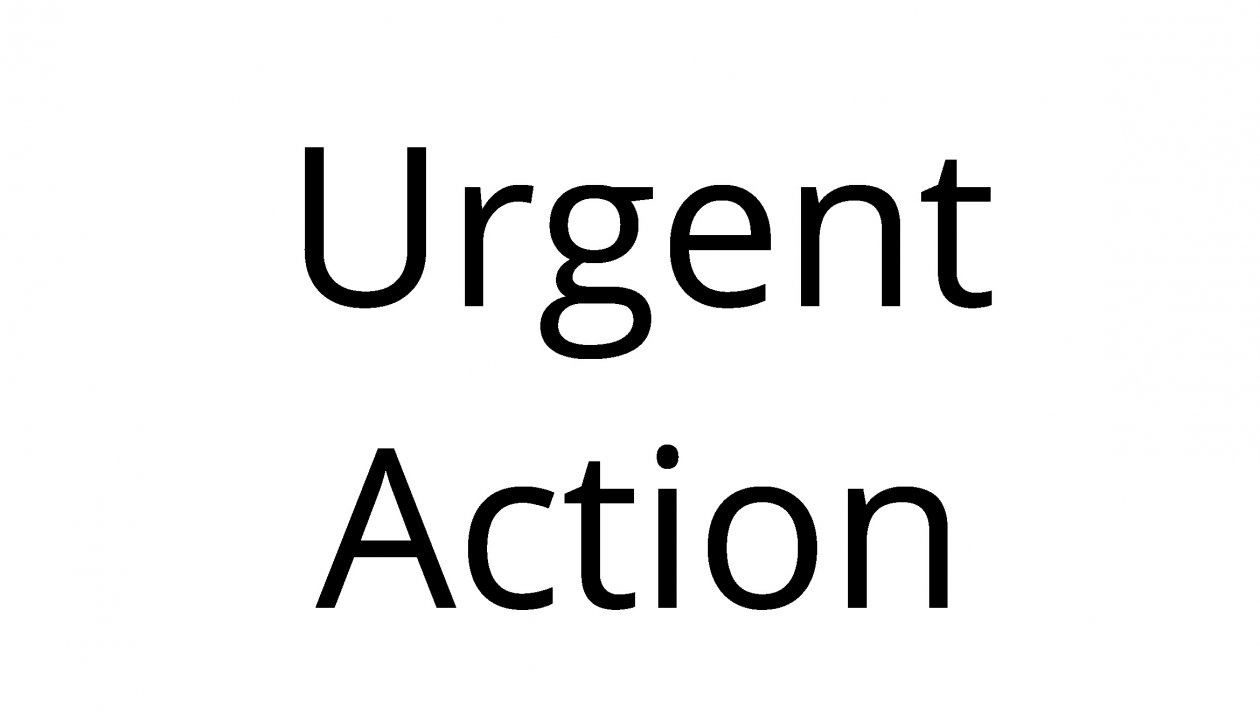 banner_urgent_action_open_sans.jpg
