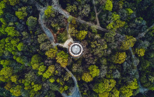 amir-saboury-258875-unsplash